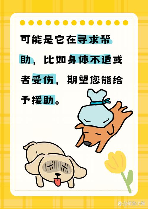 為什麼不要餵食浪浪