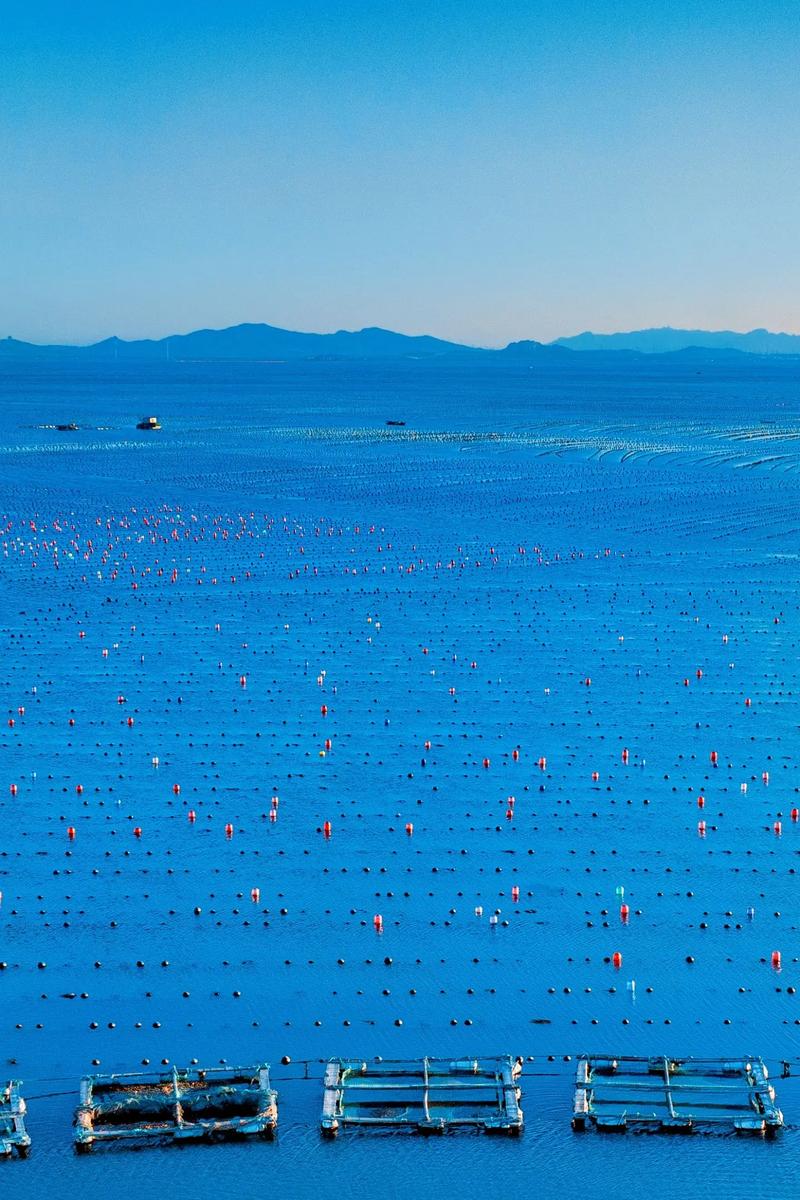 大海為什麼是藍色的揭開海洋深邃蔚藍的科學奧秘與影響因素 1 大海為什麼是藍色的