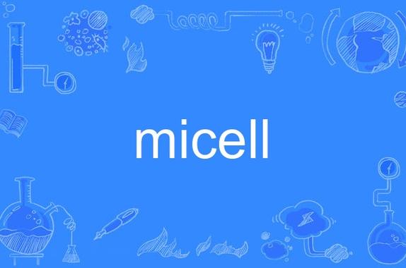 MICE代表什麼