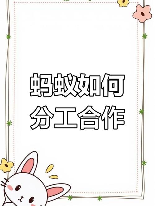 螞蟻如何分工合作