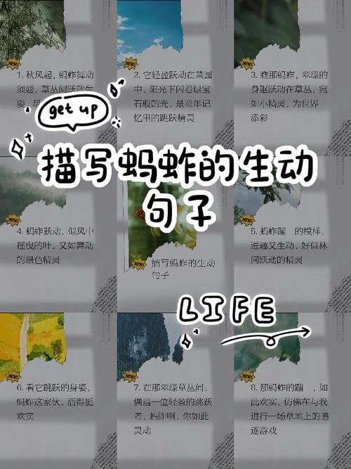 秋後的螞蚱歇後語