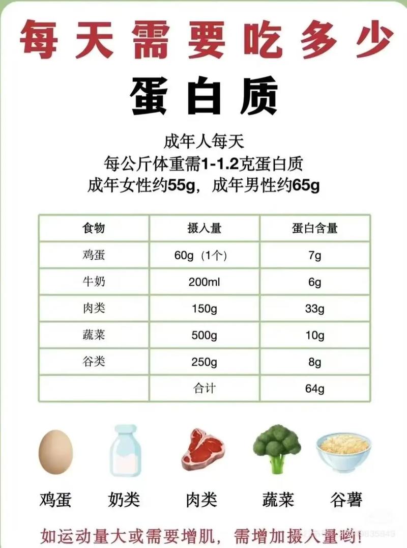 蛋白質最先在哪消化:揭開人體蛋白質分解的第一站 3 蛋白質最先在哪消化