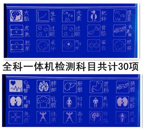 自動檢查 多久一次