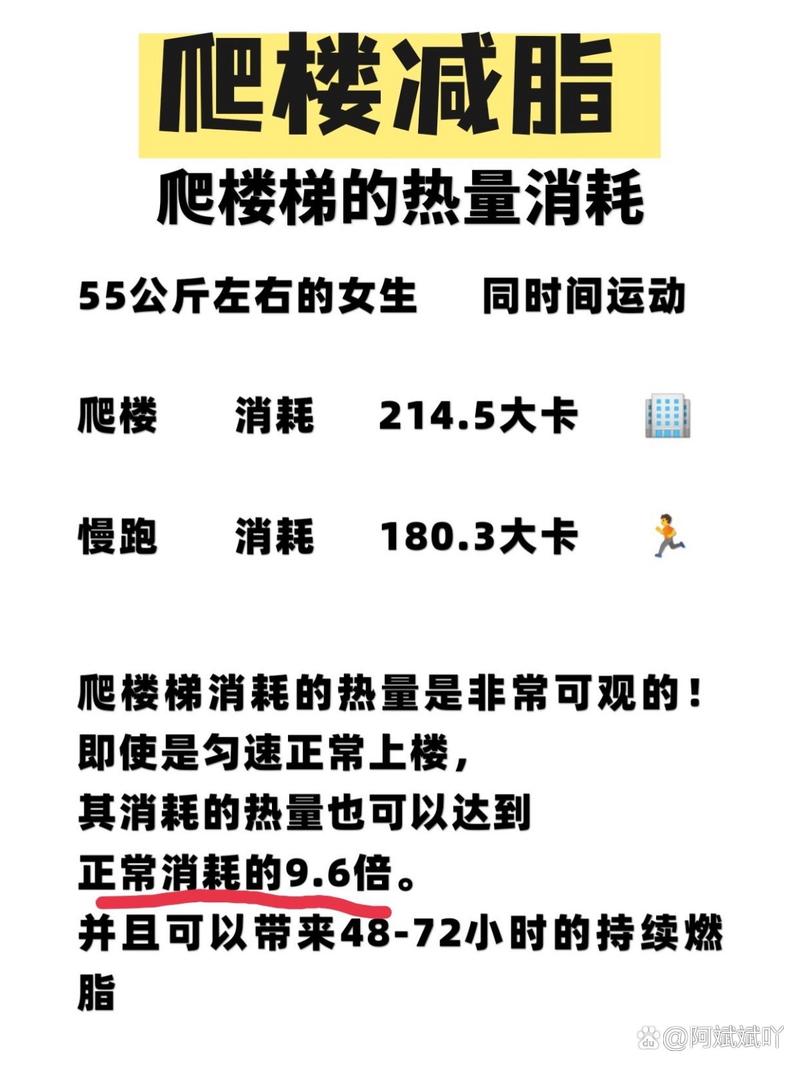 每天走樓梯會瘦嗎