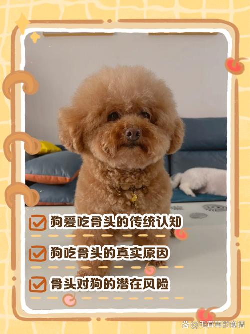 狗為什麼喜歡啃骨頭