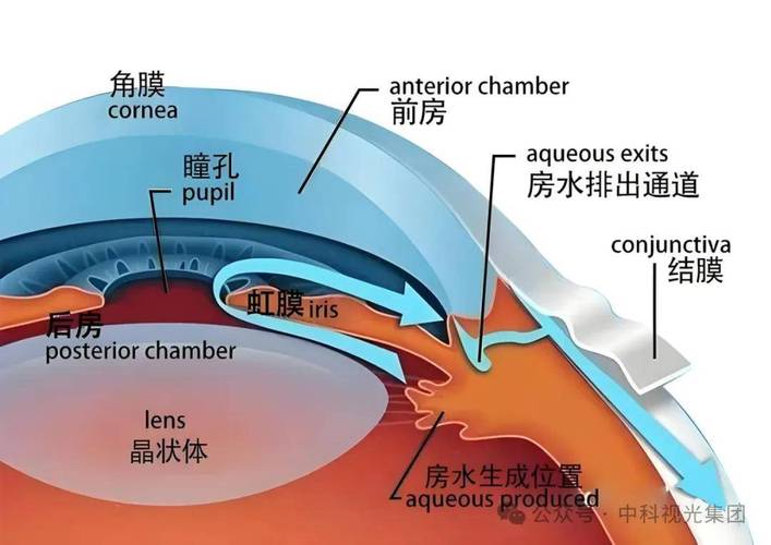 眼睛乾喝水有用嗎