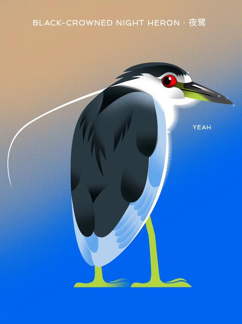 什麼鳥蛋是藍色的