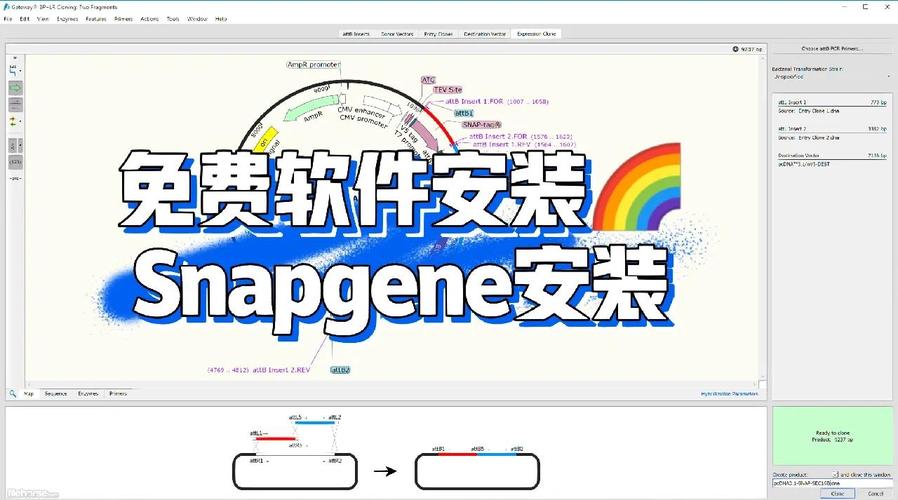 Snapchat怎樣儲火