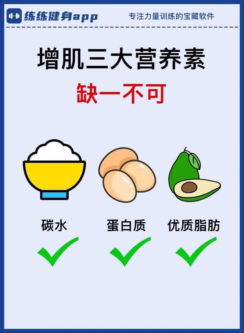吃什麼增加肌肉