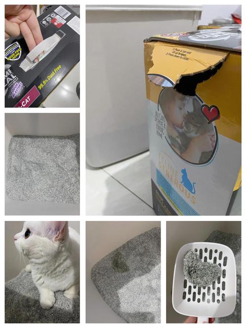 如何去除貓屎味