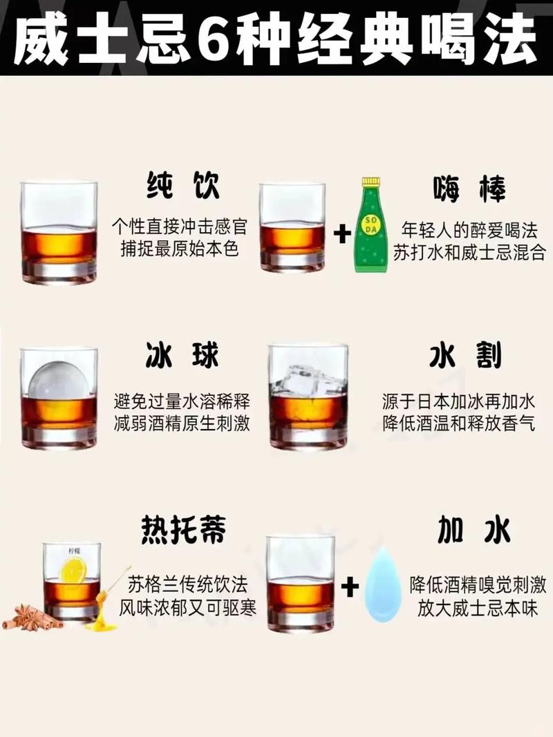 威士忌加什麼好喝