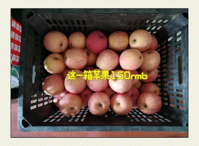 如何整蘋果批