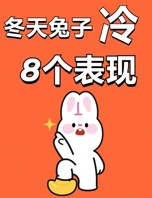 怎麼知道兔子會不會冷