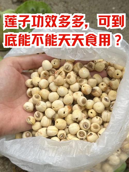 蓮子是什麼顏色