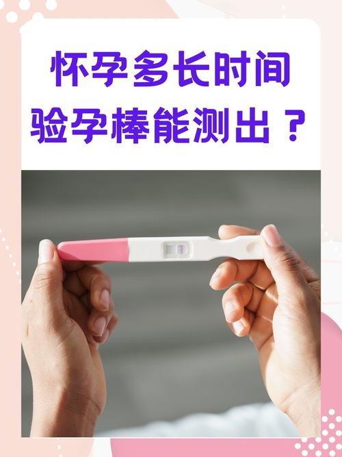 大概多久會受孕?掌握受孕時間軸,科學助您好孕到 3 大概多久會受孕