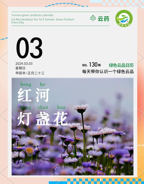 雲品做什麼的