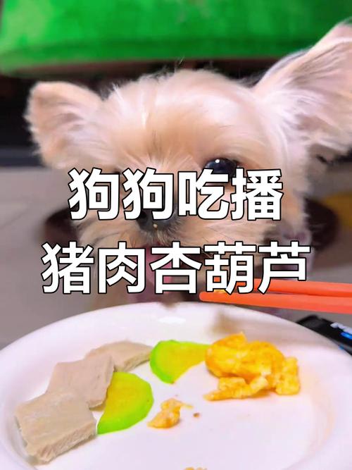 狗可以吃蒲瓜嗎
