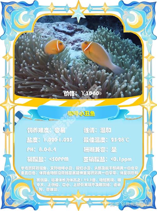 小丑魚可以跟水母一起養嗎