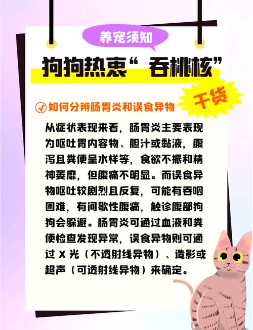 狗狗可以吃水蜜桃嗎