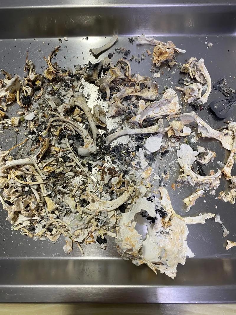 骨灰什麼顏色