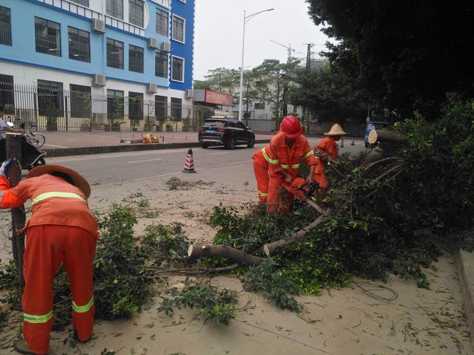 公司樹枝如何處理