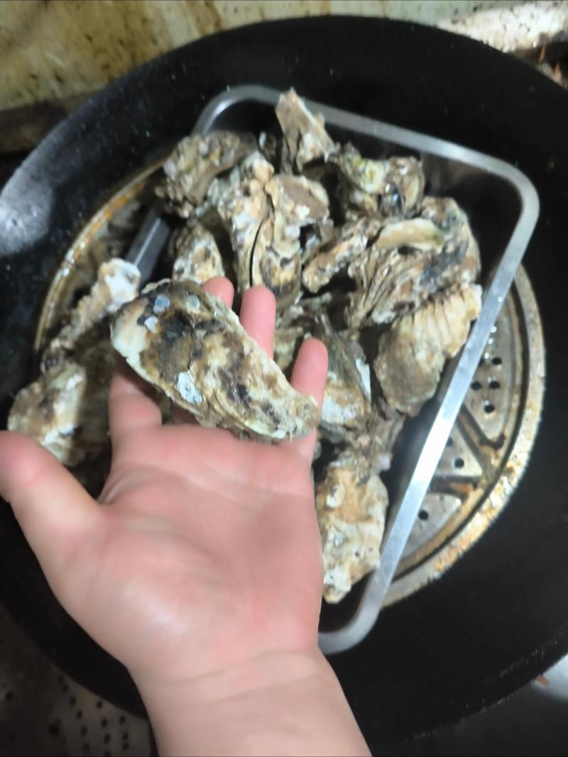 台灣有產生蠔嗎
