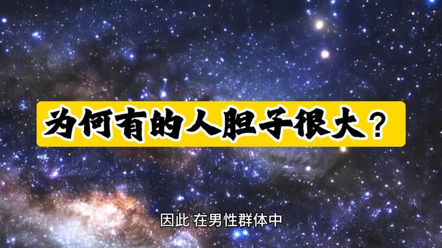 膽子很大:勇氣、魄力與決策的深層心理學解讀 3 膽子很大