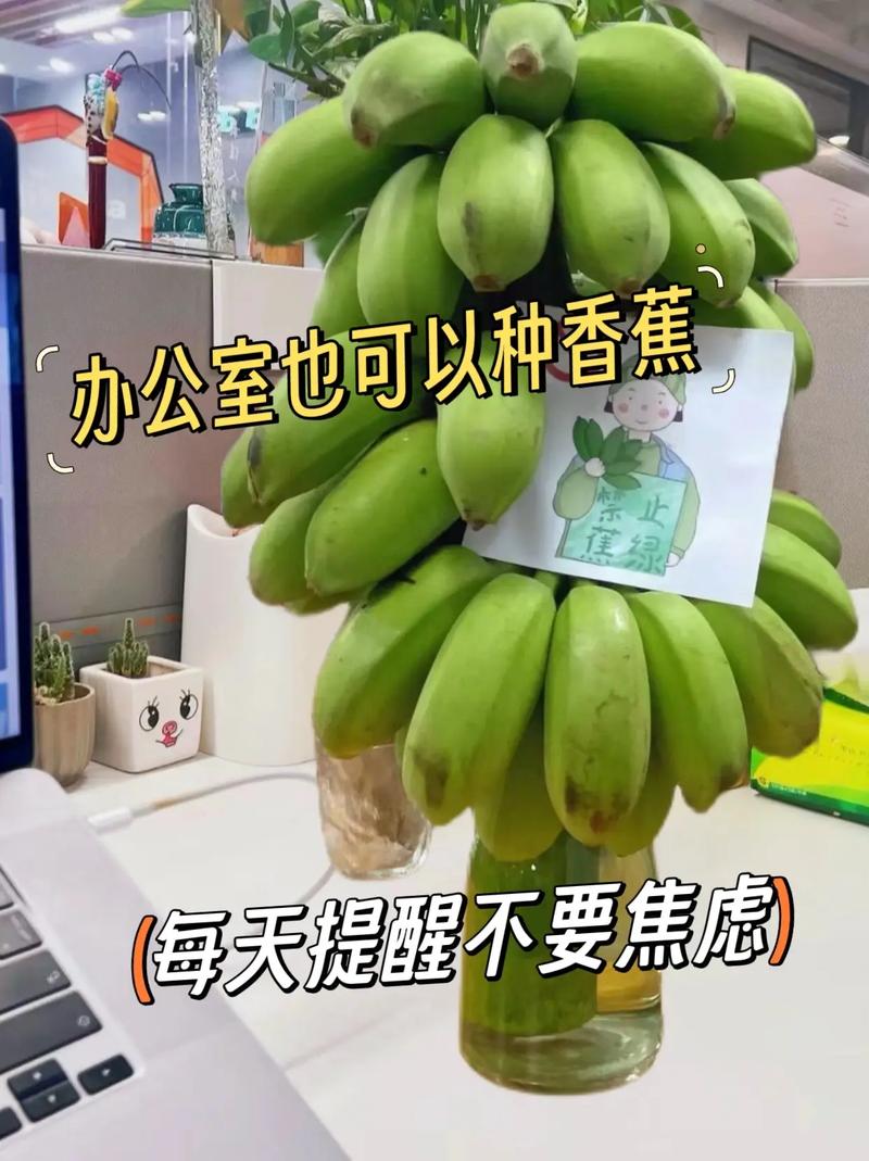 如何讓綠色香蕉變黃
