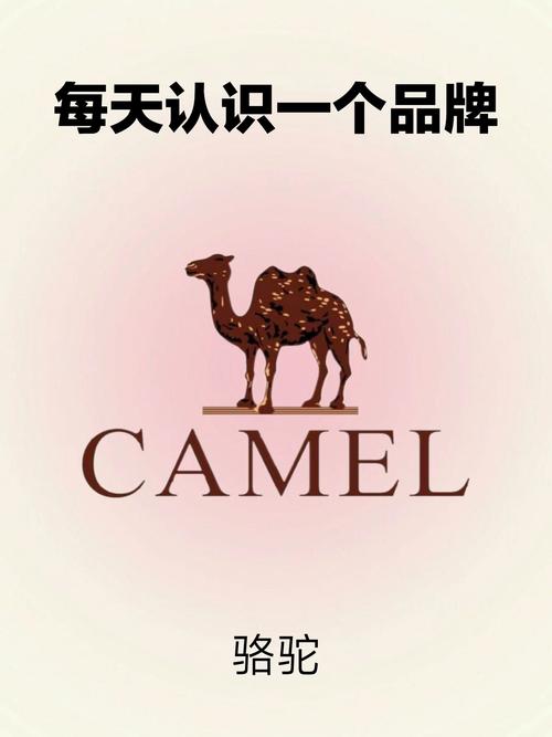 CamelBak 哪國品牌