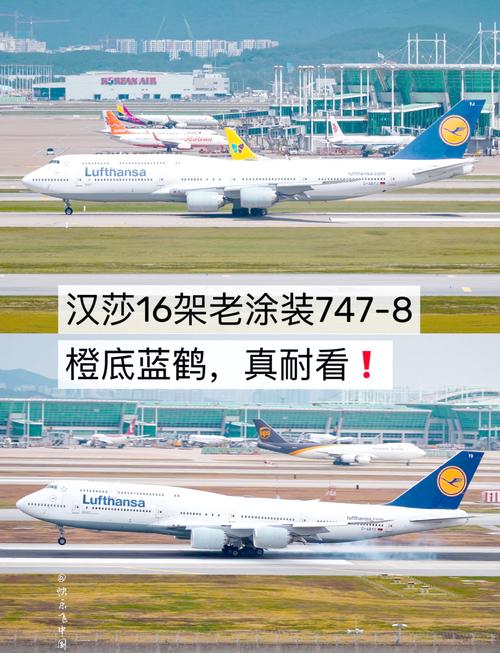 漢莎是廉航嗎?深度剖析德國漢莎航空的定位與服務模式 1 漢莎是廉航嗎