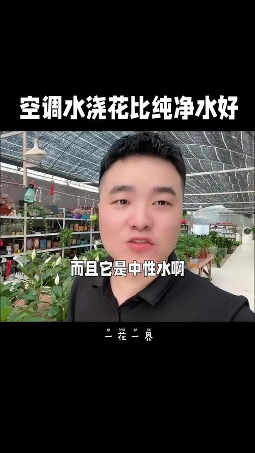 冷氣水可以澆花嗎