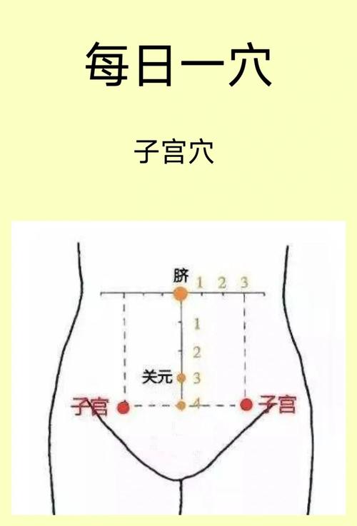 子宮在肚臍下嗎