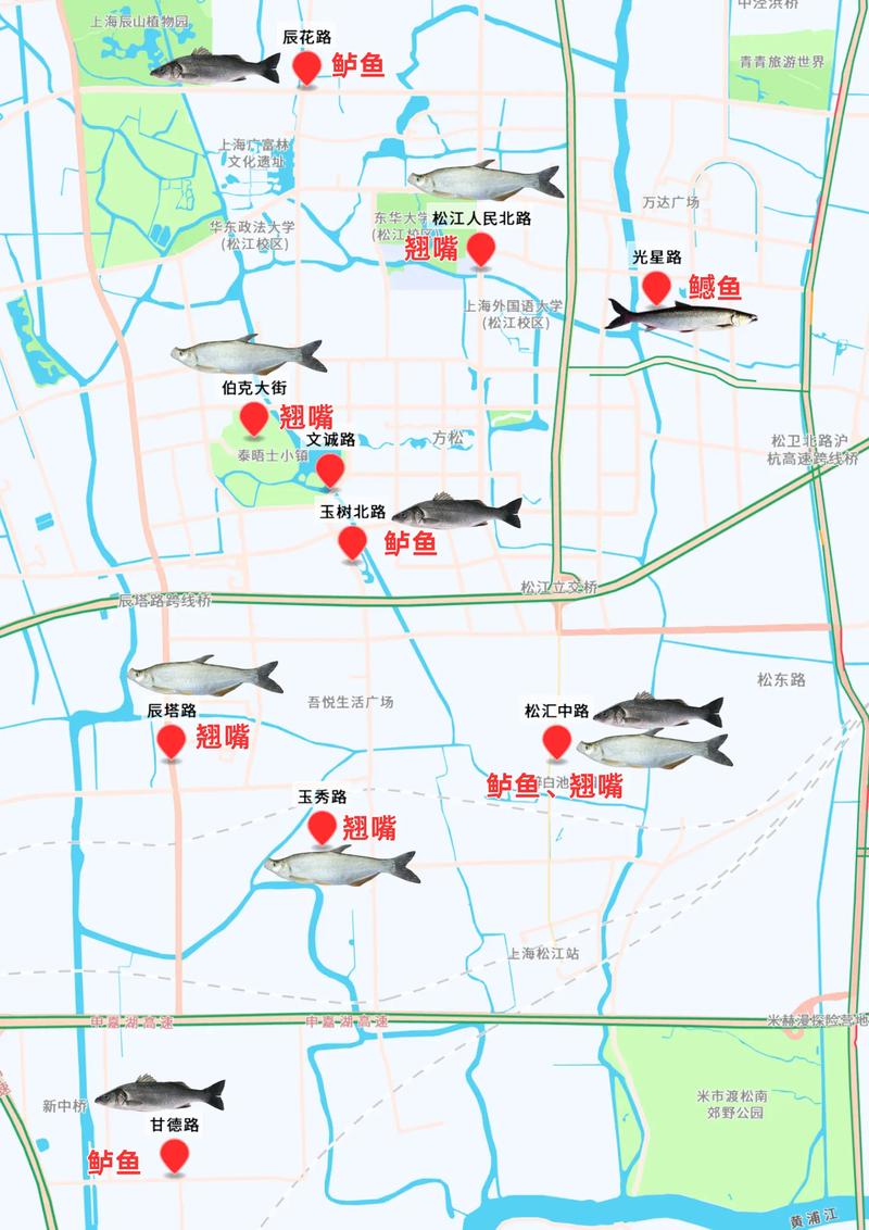 釣點地圖:深度解析如何運用釣魚地圖精準掌握漁獲秘訣與最佳時機 1 釣點地圖