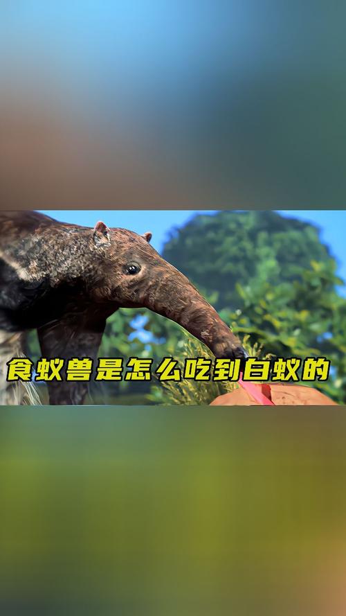 吃到螞蟻會怎樣嗎