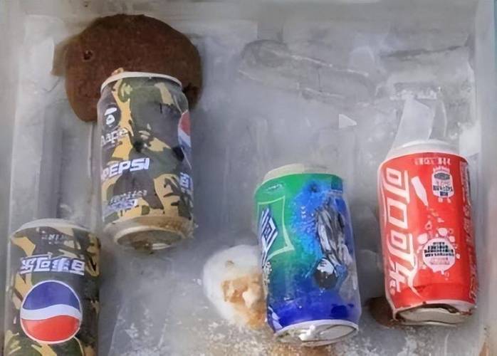 可樂放冷凍會爆炸嗎
