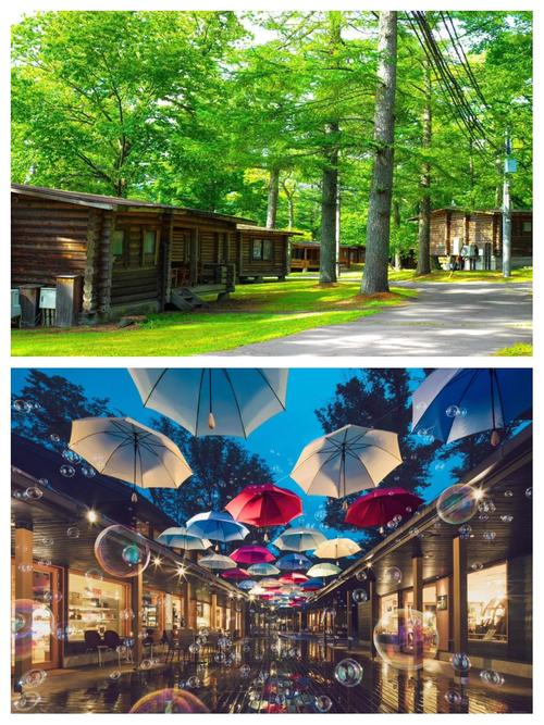 怎麼去輕井澤?交通方式深度解析,打造最順暢的輕井澤之旅! 3 怎麼去輕井澤