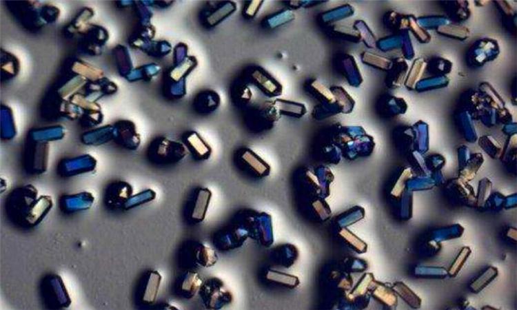 奈米跟微米誰比較大