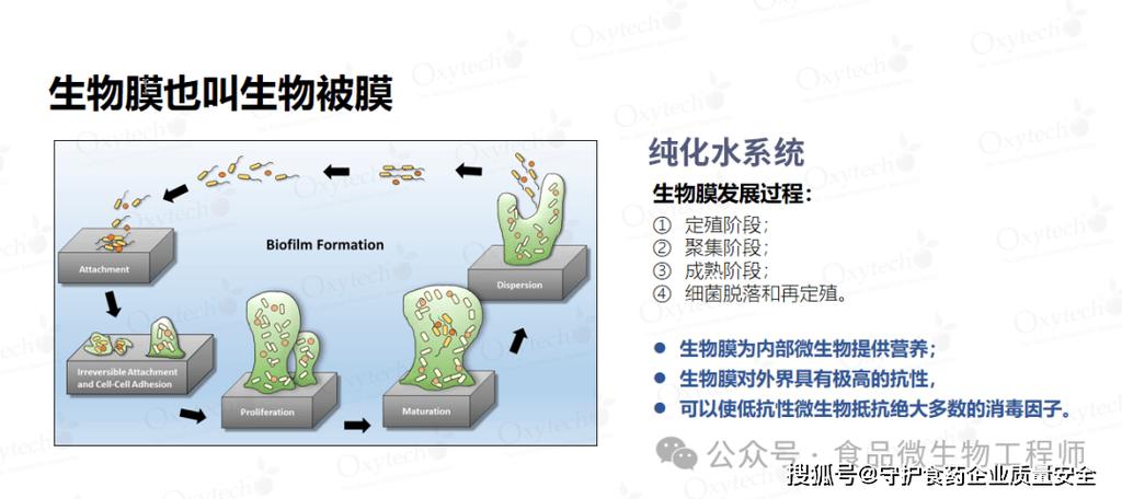 如何去除生物膜