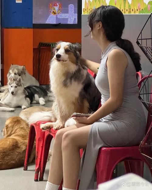 大學可以帶寵物嗎