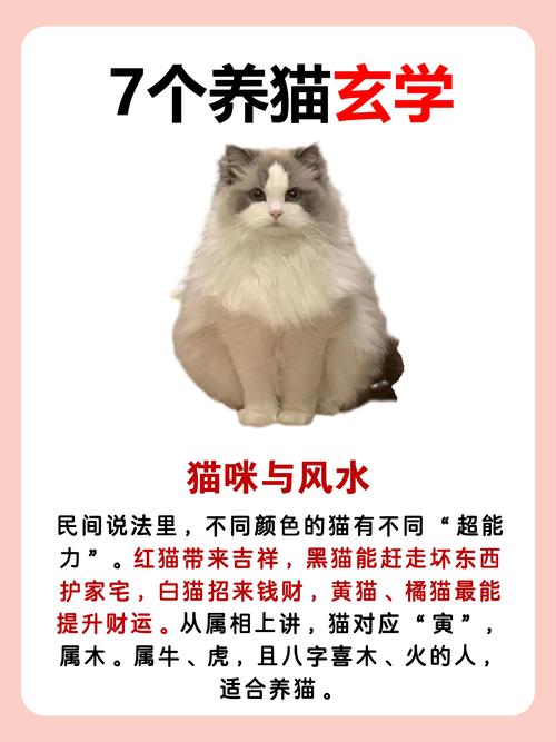 貓屬陰嗎