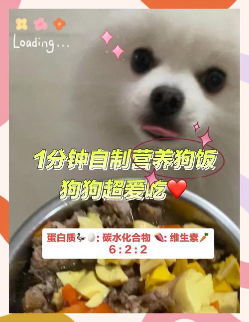 狗狗可以一天只吃一餐嗎