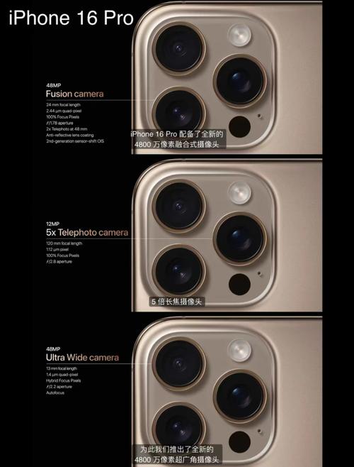 iPhone 拍照鏡頭看哪