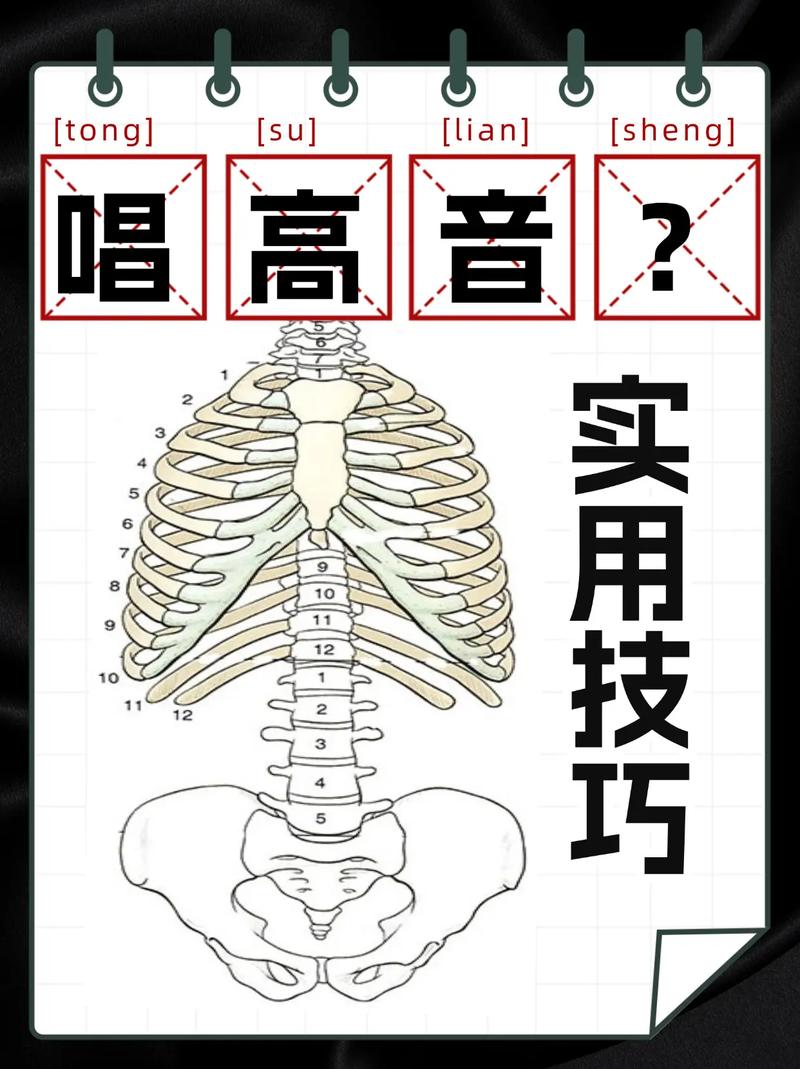 唱高音肚子要用力嗎