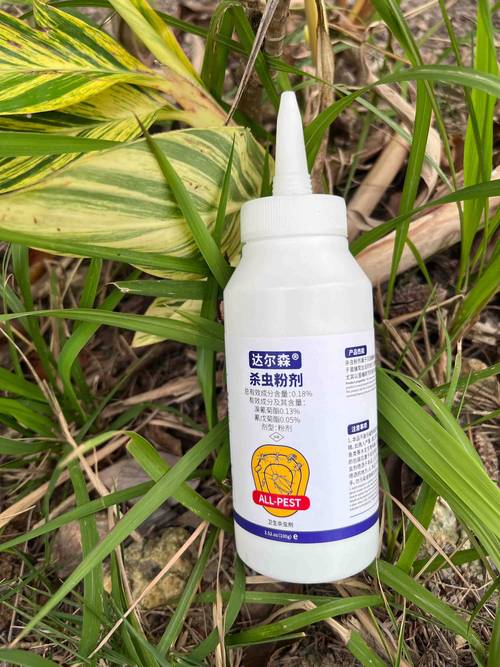 水煙可以殺死臭蟲嗎