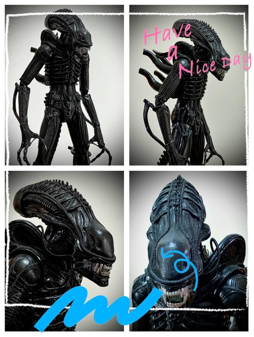 異型片尾有彩蛋嗎