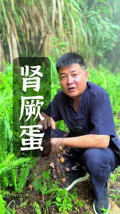 天閹子是什麼:深度剖析其概念、成因與社會文化影響 3 天閹子是什麼