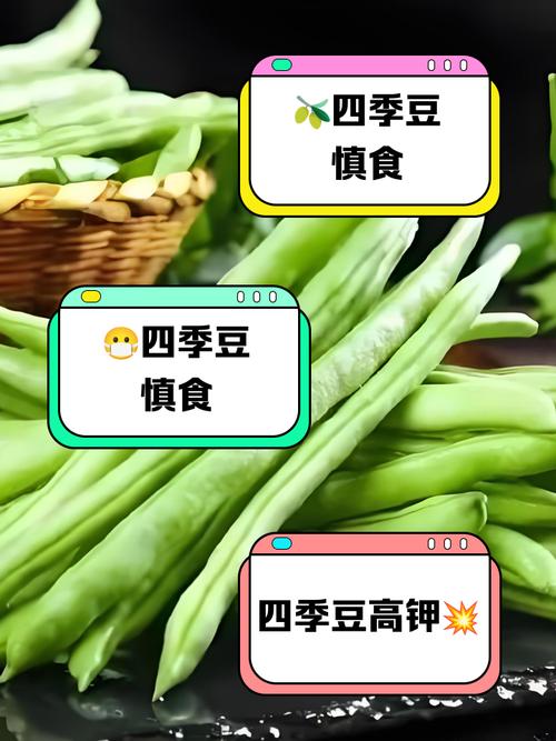 吃太多四季豆會怎樣