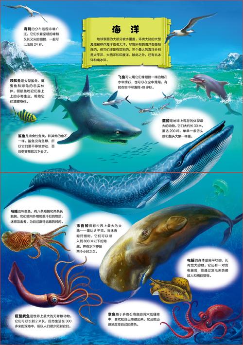 為什麼海洋很重要