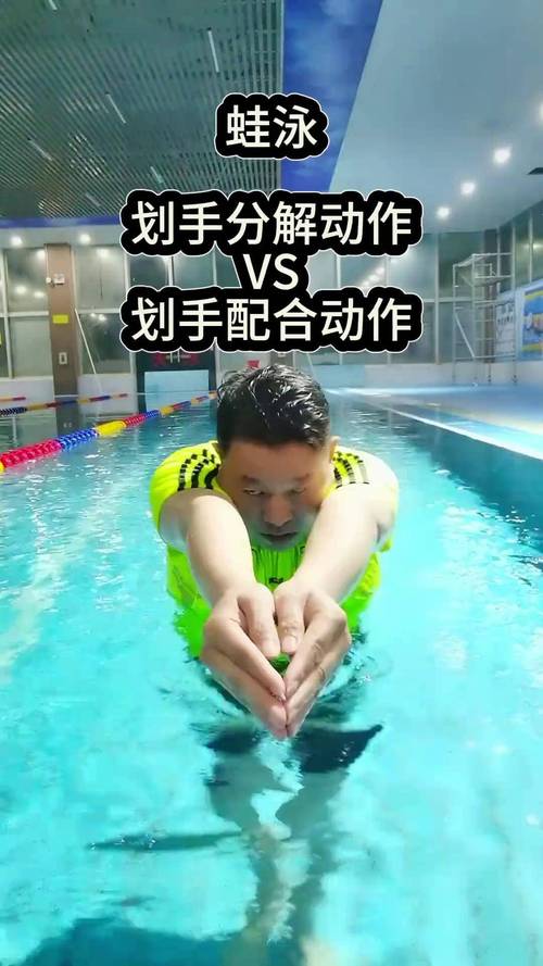 蛙式跟自由式哪個比較快