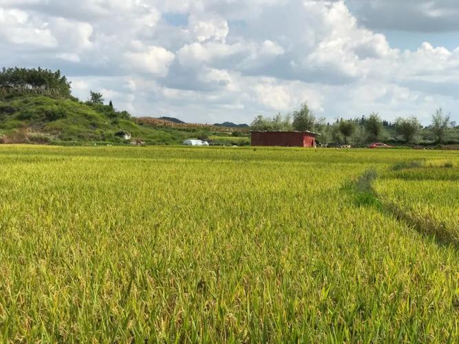 如何知道土地有無套繪